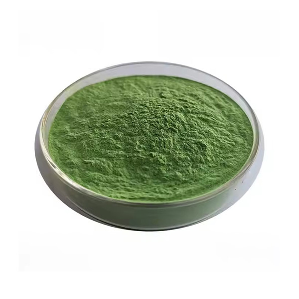 Green Seaweed Extract