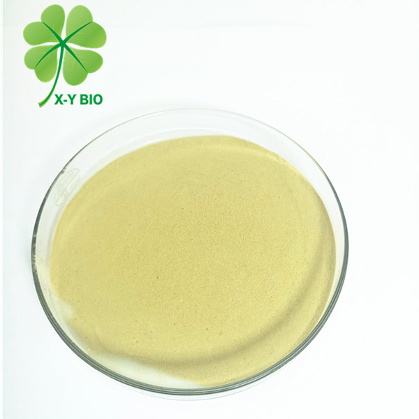 Amino Acid Powder